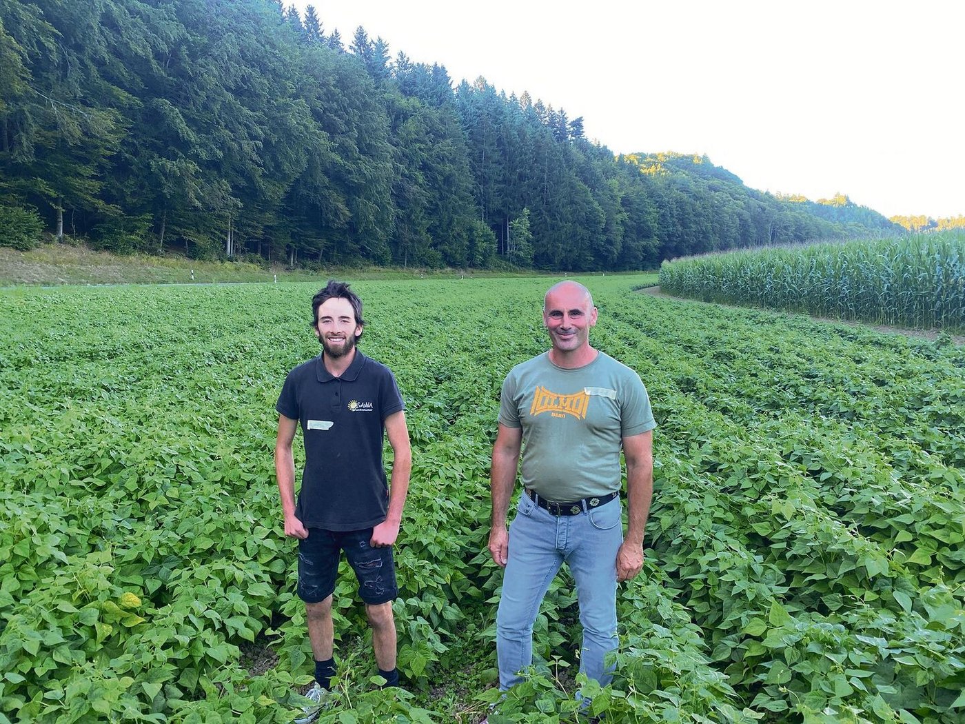 Thomas Wiedmer und sein Mitarbeiter Lurintg Bardill in ihrem Bohnenfeld. Der Bestand hat sich gut entwickelt.