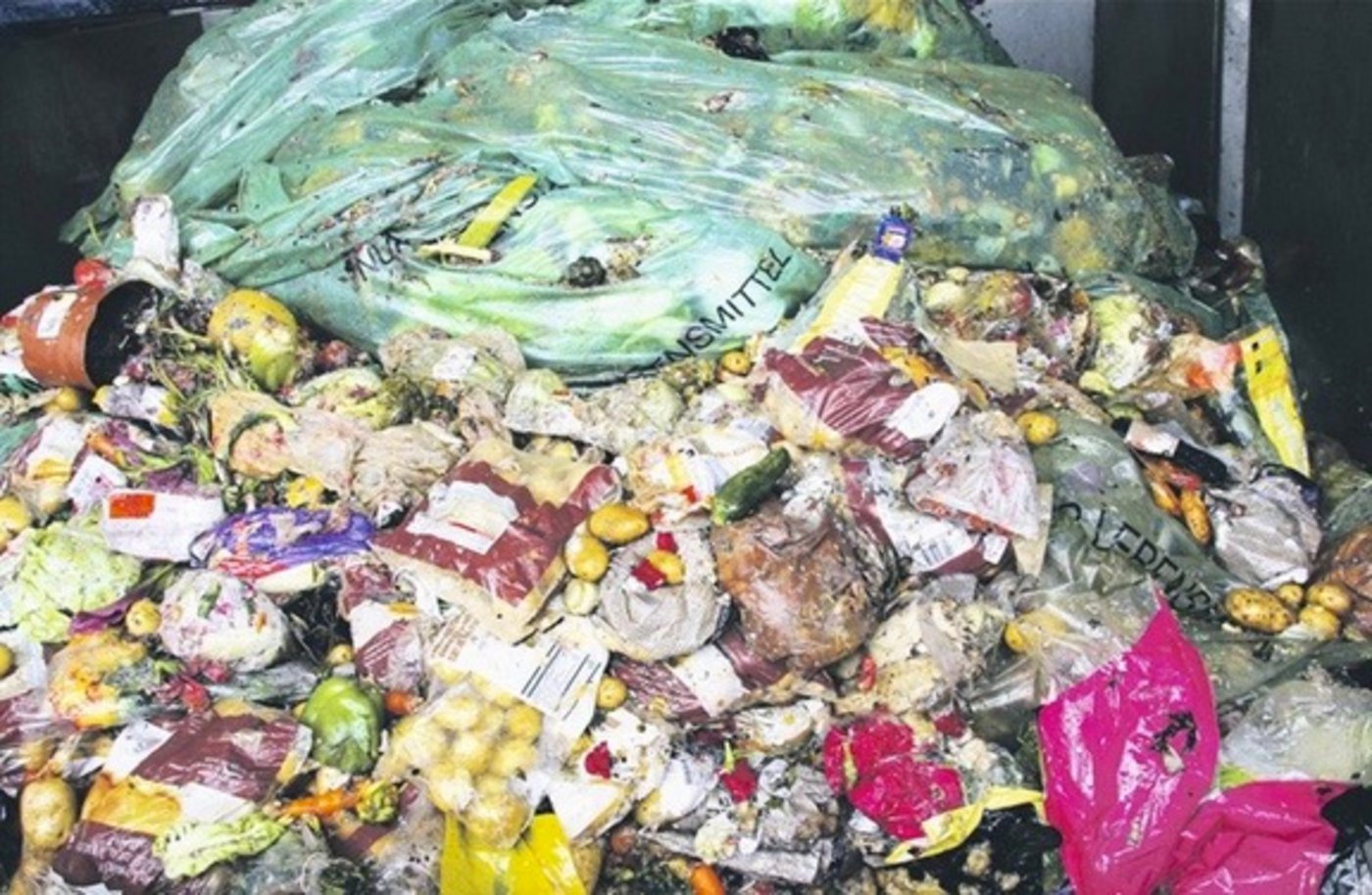 Grosses Kalorienreservoir: Lebensmittel in der grössten Biogasanlage in Stetten AG. (Bild rü)