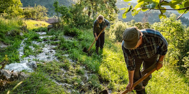 Nachdem das Bewässerungssystem das kostbare Nass von den Bergen herabgeführt hat, wird es auf den Wiesen sorgfältig feinverteilt. (Bild Switzerland Tourismus, André Meier)