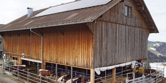 Der deckenlastige Stall der Familie Alder in Hemberg ist auf zwei Seiten offen. (Bilder Michael Götz)