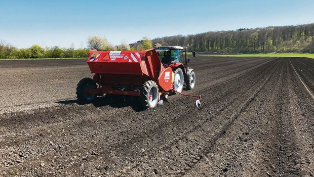 Hier kommt dieses Jahr eine andere Sorte in den Boden: Eine Parzelle auf dem Betrieb von Lukas Streit. (Bild Lukas Streit)