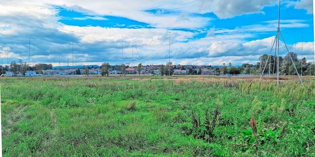 In St-Aubin, auf dem Areal der Agrico, soll der neue Micarna-Schlachthof erstellt werden. Umweltorganisationen versuchen, das Leuchtturmprojekt der Nachhaltigkeit auszubremsen.  
