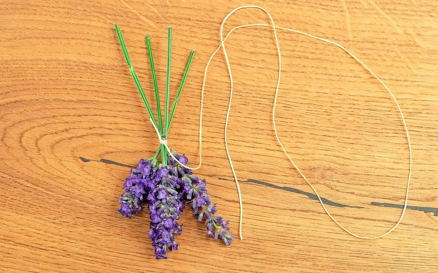 Der Lavendel wird mit einer Schnur zusammengebunden.