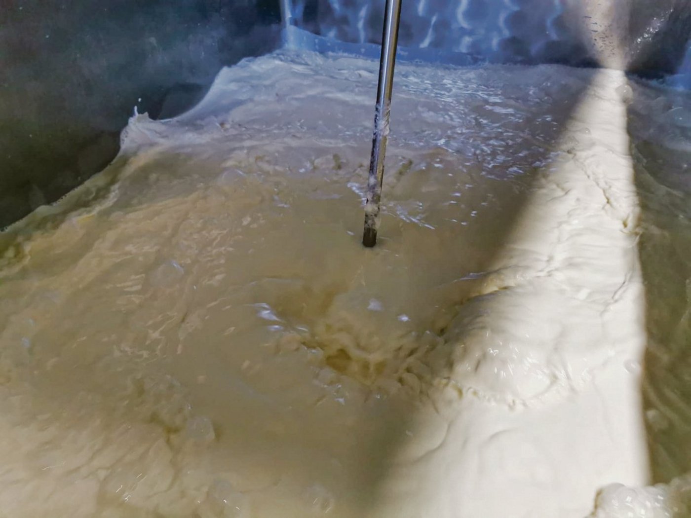 Der Tankmilchtest sorgt immer wieder für grosse Diskussionen unter den Milchlieferanten.(Bild Simone Barth)