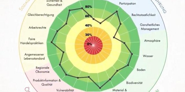 Eine Übersichtsgrafik zeigt dem Landwirt, wie gut er sein Nachhaltigkeitsziel (schwarze Linie im Kreis) erreicht. Dabei nähert sich die schwarze Linie dem dunkelgrünen Bereich (100% Nachhaltigkeit), je nachhaltiger der Landwirt wirtschaftet.  (Screenshot Youtube-Video FiBL)