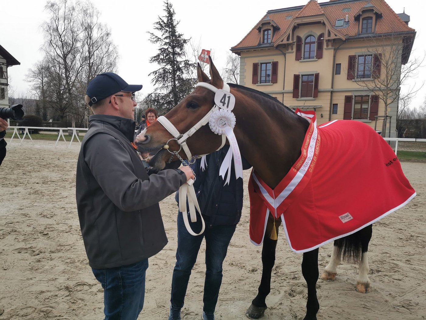 Das ist der Sieger der Freibergerhengste 2020: Costard de Chatigani von Nicole und Gabriel Fluri-Schaffter, Châtillon JU. (Bild sb)