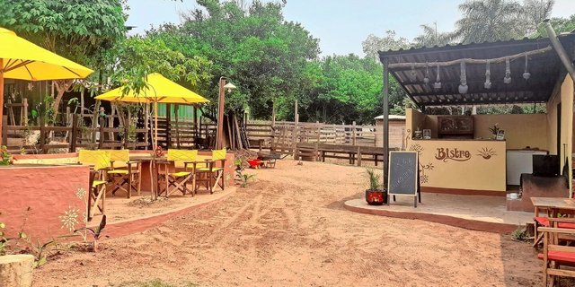 Im neu eröffneten Hof-Bistro bieten Michèle Huber und ihre Familie verschiedene Produkte vom Hof an. Der in verschiedenen Grössen erhältliche Eiskaffee ist aktuell der Renner.