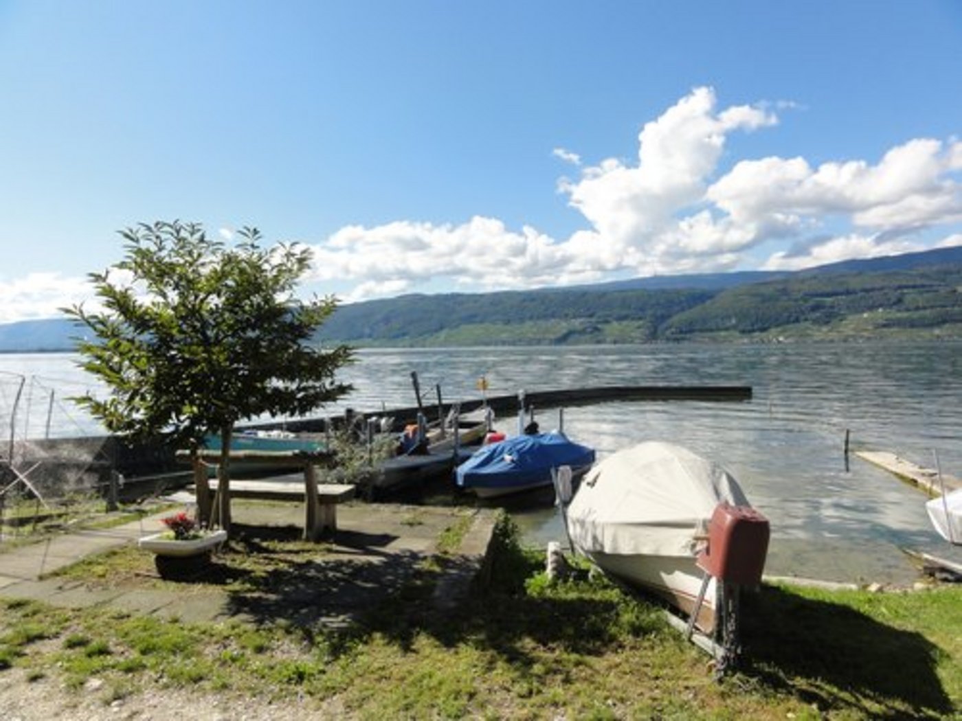 Schäden an Fischbeständen sollen durch die revidierte WZVV-Verordnung vermieden werden. (Bild: mr/LID)