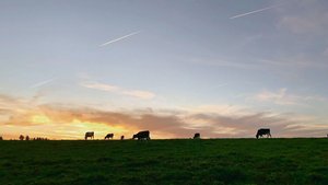 Wenn der Lebensabend hereinbricht, stellt sich die Frage, wer in Zukunft die Rinder von der Weide holen wird. Damit sind viele Ängste verbunden, die es ernst zu nehmen gilt.