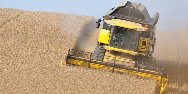 Vom Konsumentenfranken kommt immer weniger bei den Bauern an. (Cédric Péclard/landwirtschaft.ch)