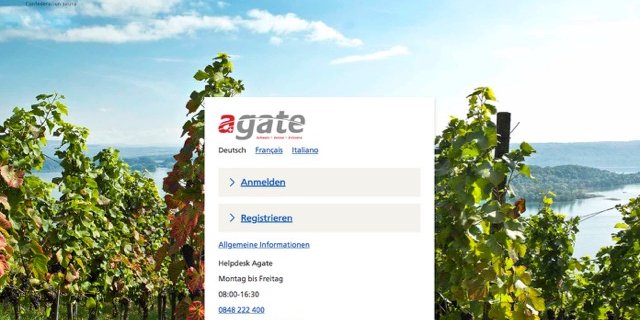 So sieht die Login-Seite vom neuen Agate aus. (Screenshote Agate.ch)