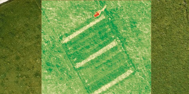 Die Drohne erlaubt es, grossflächig Grashöhen zu erheben. Eine Multispektralkamera ist aufgebaut. (Bild Michael Sutter)