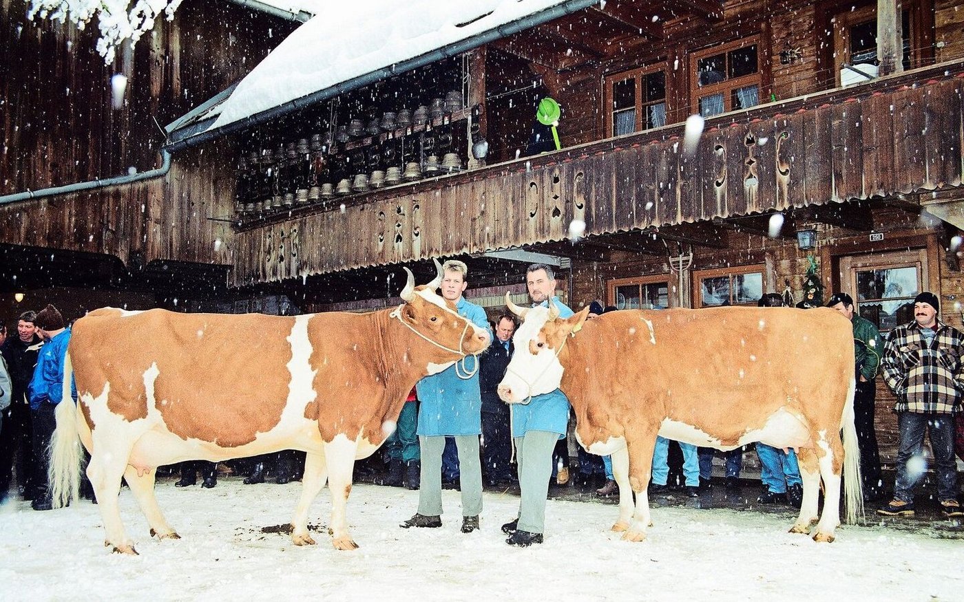 Das Bild ist jetzt 20 Jahre alt. Schon im Jahr 2005 besuchten die SF-Züchter den Betrieb von der Familie Hadorn in Schangnau. Hier mit den Kühen Pickel Arosa (l.) und Pickel Azzura. Am 1. Februar öffnen Hadorns wieder die Stallstüren für die IG Swiss Fleckvieh.