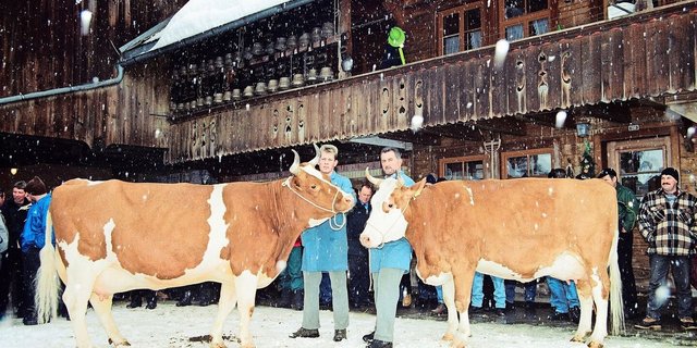 Das Bild ist jetzt 20 Jahre alt. Schon im Jahr 2005 besuchten die SF-Züchter den Betrieb von der Familie Hadorn in Schangnau. Hier mit den Kühen Pickel Arosa (l.) und Pickel Azzura. Am 1. Februar öffnen Hadorns wieder die Stallstüren für die IG Swiss Fleckvieh.