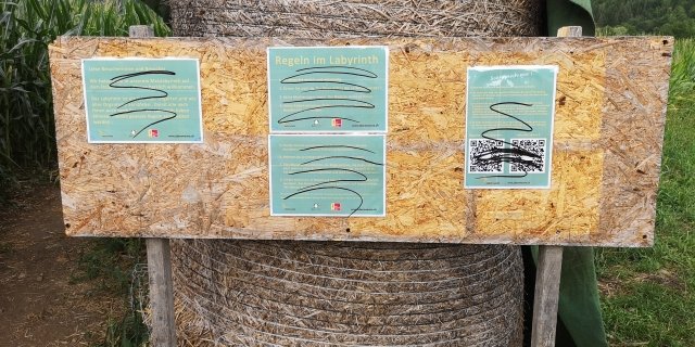 Die Vandalen übermalten fast alle QR-Codes. (Bild zVg)