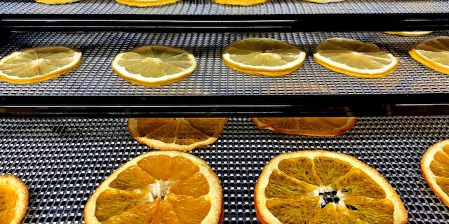 Auf einem Gitter trocknen Früchte besser im Ionenwind. (Bild Empa)