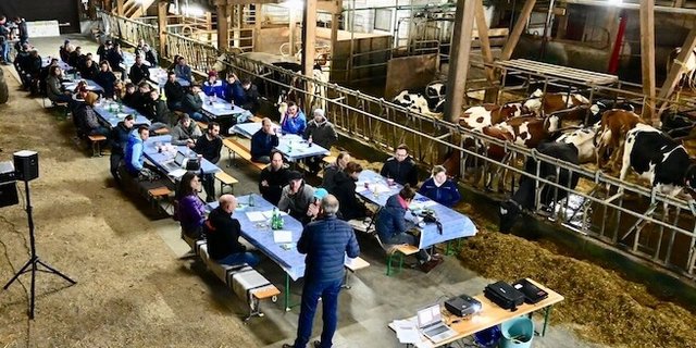 Der Jula-Höck fand im Stall der BG Niesen in Wimmis statt. So konnten sich auch die Kühe über den Milchmarkt informieren. (Bild jba)