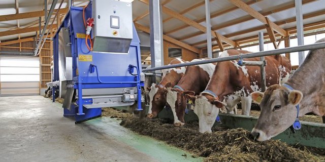 Ein Fütterungsroboter bringt viel Zeitersparnis. Finanziell rechnet er sich nicht in jedem Fall. (Symbolbild BauZ)