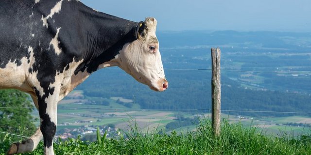 Eine längere Nutzungsdauer soll nicht nur klimafreundlicher, sondern auch ökonomisch sinnvoll sein. (Bild hja)