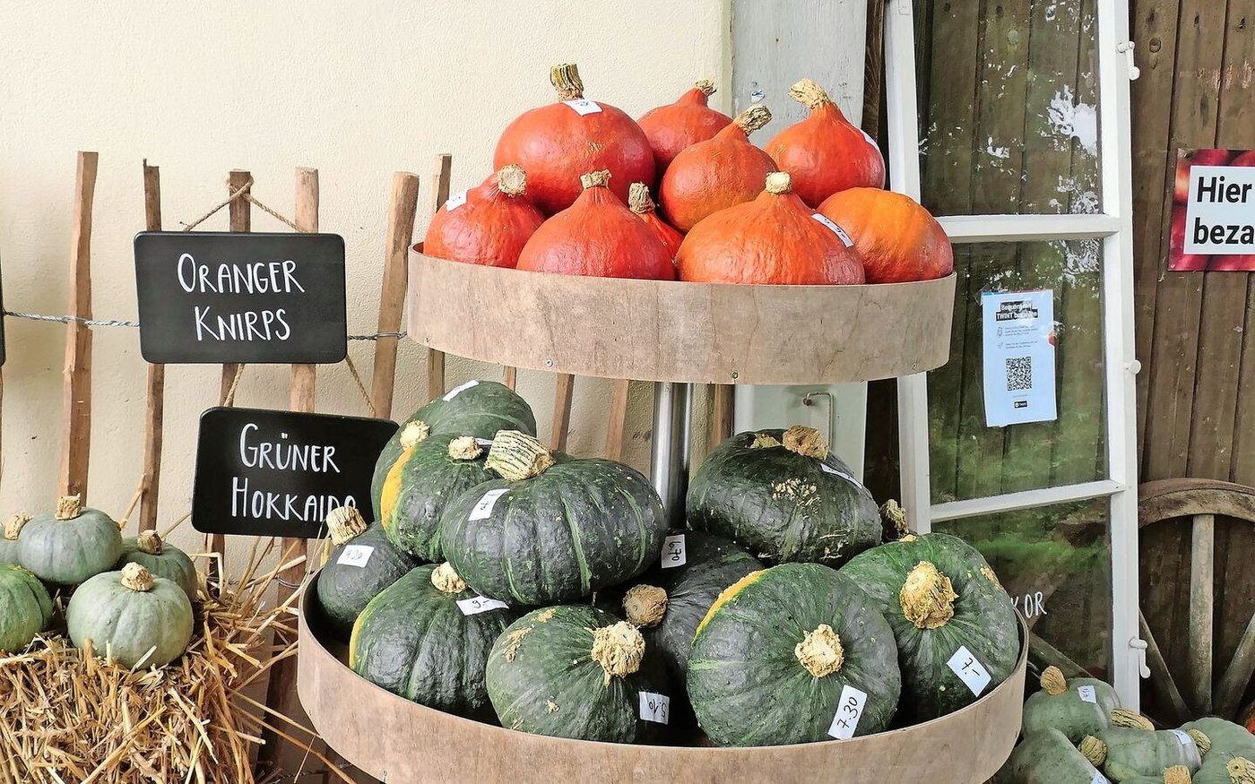 Höhepunkt der Saison ist jeweils die einladende Präsentation der Kürbisse vor dem Hof. 