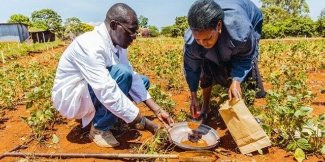 Forschen für die agrarökologische Zukunft: Auf einem Feld werden im Rahmen des SysCom-Projekts Bodenproben gesammelt. 