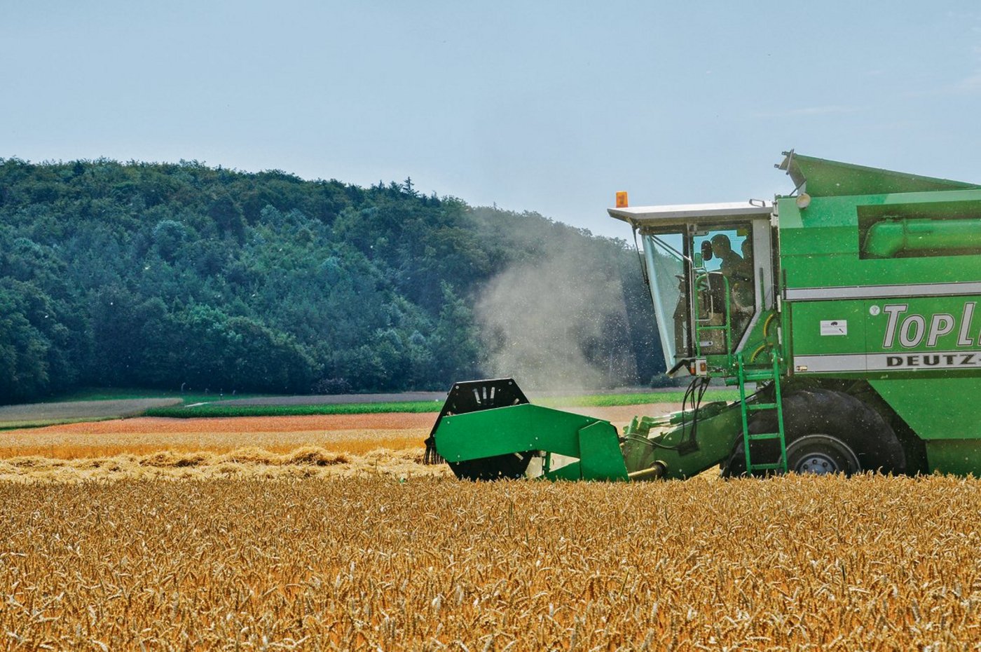 Die Getreideernte ist vorbei und schon bald muss über die neue Saat nachgedacht werden. Welche Sorte darf es sein?(Bild BauZ) 