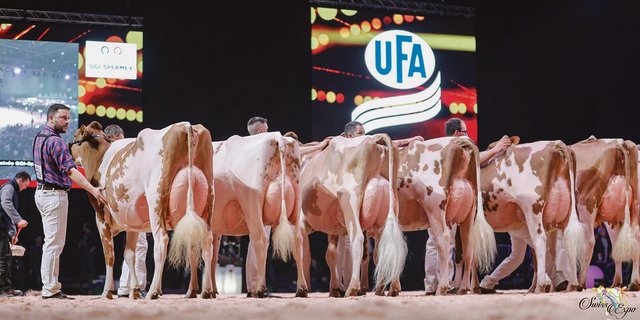 Keine Ausstellungen ohne Sponsoren. Die Swiss Expo kann seit vielen Jahren auf Hauptsponsoren zählen. Sollte es 2021 trotz Corona zu einer Durchführung kommen, dann ohne Zuschauer und Aussteller. Und die dürften ihr Sponsoring runterfahren.(Bild zVg)