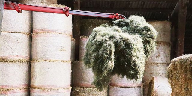 Die Heustöcke sind zwar mittlerweile gefüllt. Dennoch kann sich die Futterqualität im Lager verändern – und schnell verschlechtern. Gewisse einfache Methoden unterstützen die Kontrolle.