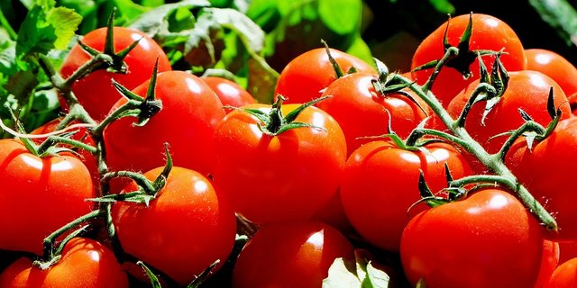 Beim Gemüse erzielten etwa Tomaten einen höheren Preis. (Bild Pixabay)