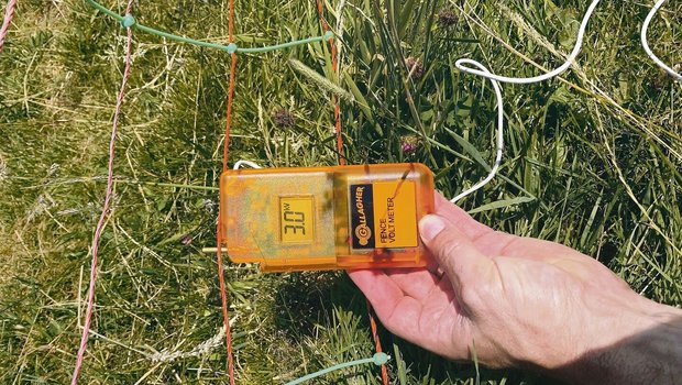 Beim Zaun gelten für den Grundschutz die Grundsätze: 3000 Volt Spannung, gut gespannt, höchstens 20 cm Abstand zum Boden.