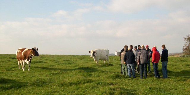Bei ReLait wird die Zusammenarbeit verschiedener Akteure und die Gesamtsicht über einen Betrieb gross geschrieben. (Bild Grangeneuve/ Kanton Freiburg)