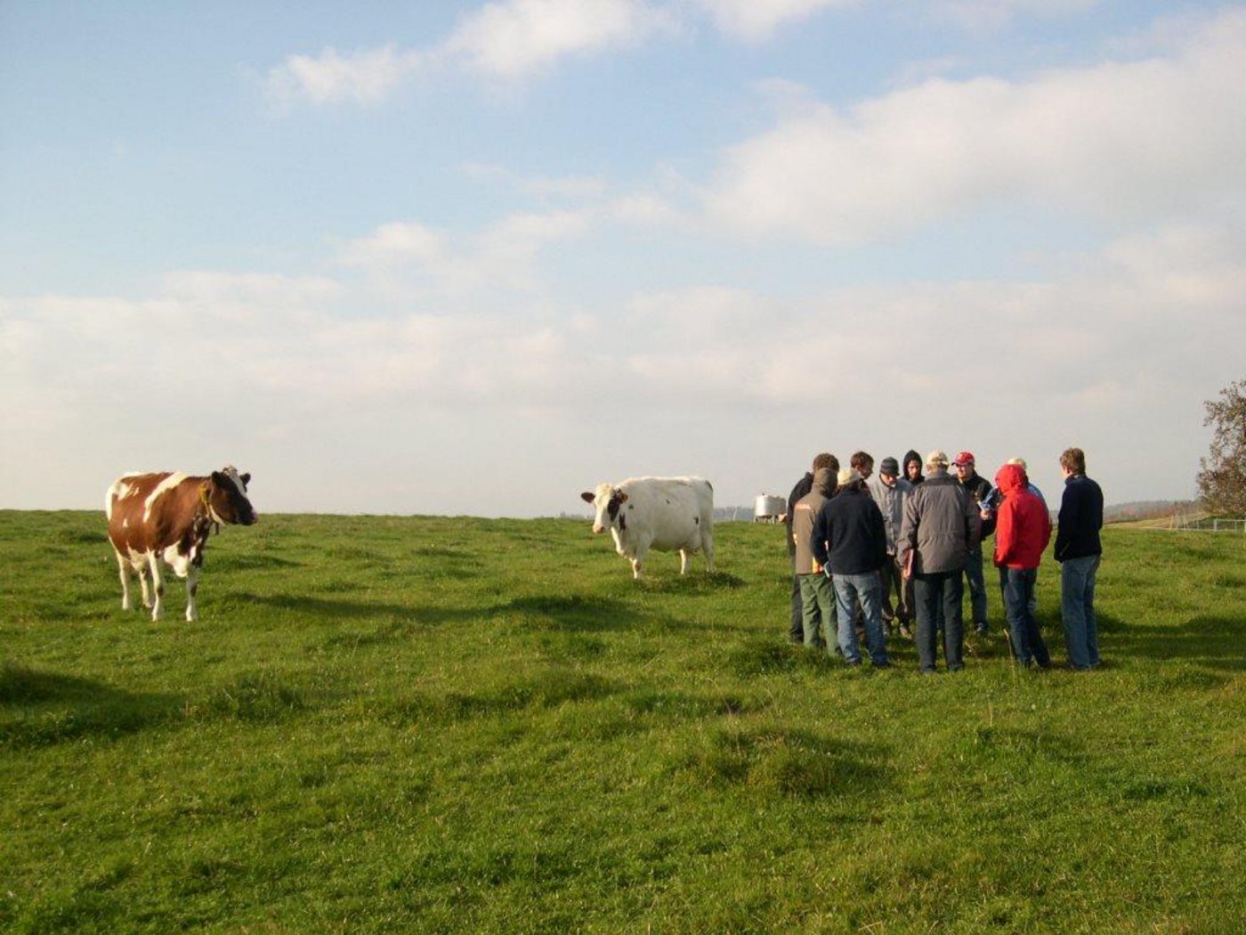 Bei ReLait wird die Zusammenarbeit verschiedener Akteure und die Gesamtsicht über einen Betrieb gross geschrieben. (Bild Grangeneuve/ Kanton Freiburg)