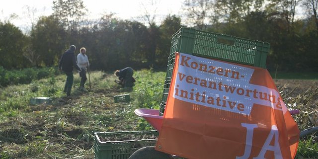 Auch der Slow-Grow-Hof in Mönchaltorf macht bei der Aktion mit. (Bild Kleinbauern-Vereinigung)