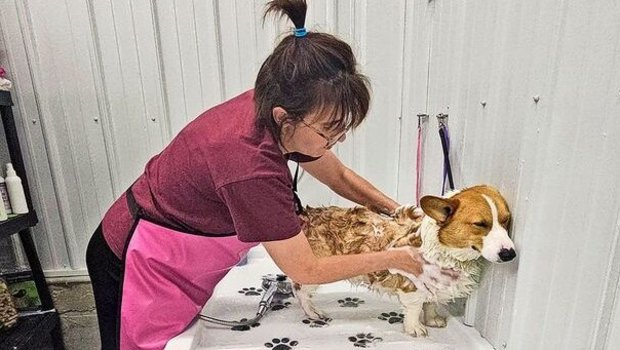 Melanie Annegers-Reinmann legt in der Hundepension auch am Sonntag Hand an: Bevor der Ferienhund wieder nach Hause fährt, wird er noch gründlich gewaschen.  