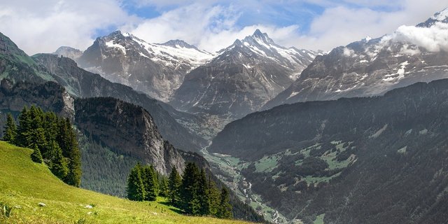 SP-Bundesrätin Sommaruga erinnerte daran, dass die Jagdgesetz-Vorlage auch in ländlichen Gebieten abgelehnt worden sei. (Symbolbild PIxabay)
