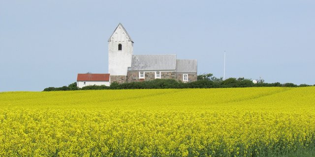 Kulturlandschaft in Dänemark. (Symbolbild Pixabay)