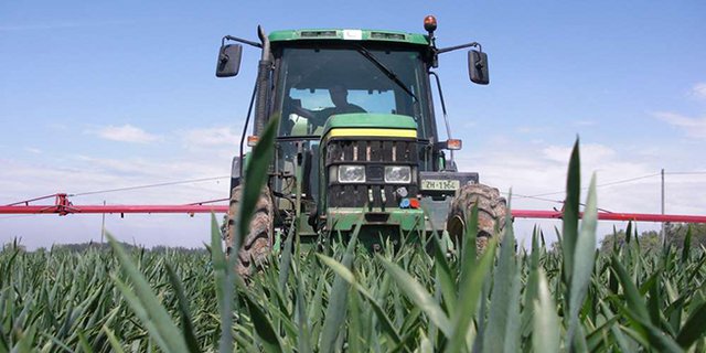 Der SOBV unterstützt den Schweizer Bauernverband im Aufruch zu einem freiwilligen Verzicht auf Fungizide mit dem Wirkstoff Chlorothalonil. (Bild SOBV)