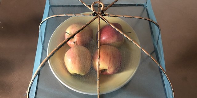 Obst nicht offen im Zimmer herumstehen lassen. (Bild et)