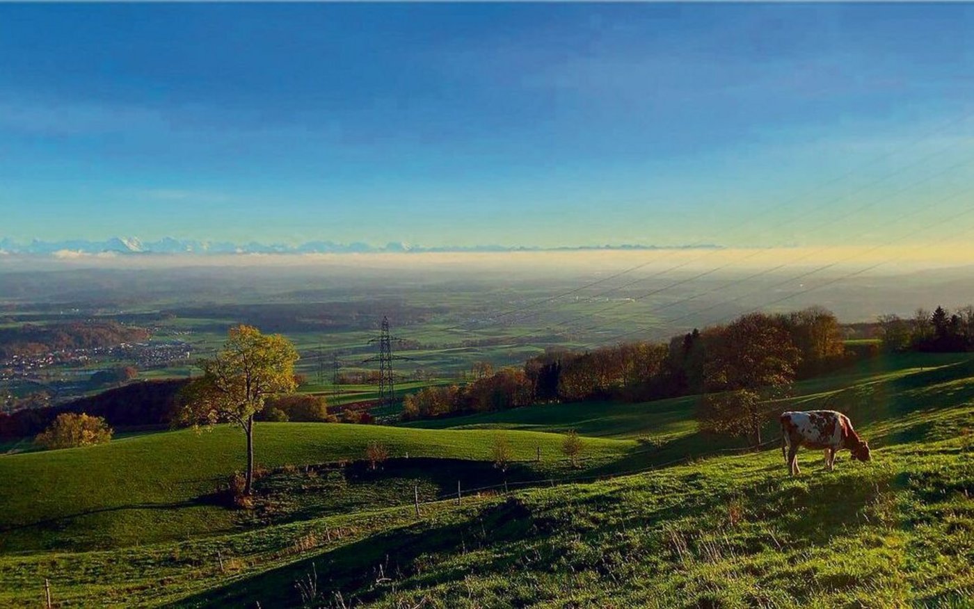 Das Panorama bei Fahrnis in Rumisberg ist gewaltig. Der Betrieb liegt auf 900 m ü. M.