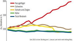 Die Tierzahlen nehme Die Tierzahlen nehmen tendenziell ab, grosse Ausnahme bleibt wegen steigender Nachfrage die Nutzgeflügel-Kategorie.