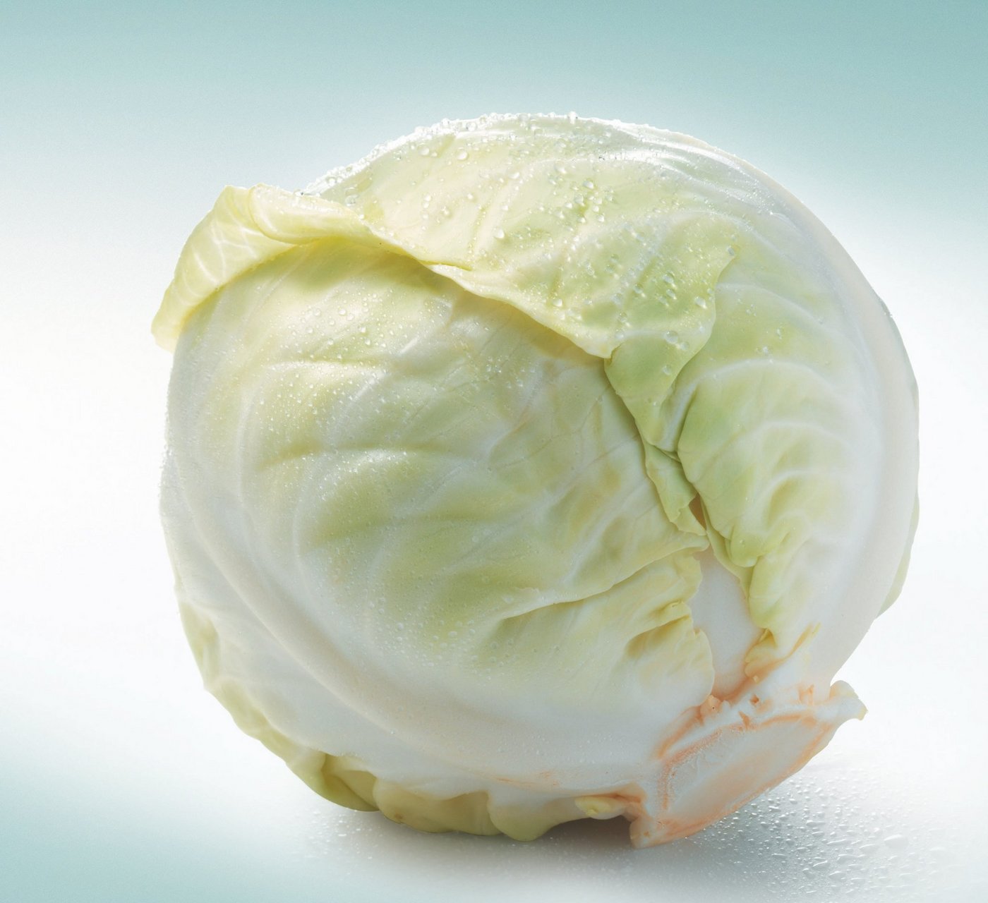 Vitaminbombe: Der Weisskabis liefert mehr Vitamin C als Orangen. (Bild: zVg)