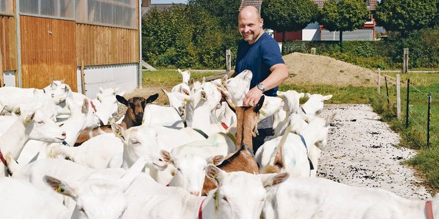 Peter Blaser inmitten seiner zutraulichen Ziegenherde: Aus der Milch werden Spezialitäten, einerseits für Kuhmilchallergiker, aber auch für Liebhaber von traditionellem Handwerk.(Bild Daniela Joder)