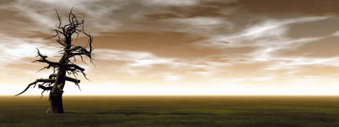 Klimawandel ist in aller Munde. Die Landwirtschaft ist stark betroffen, nicht nur aufgrund Anschuldigungen. Was können Bauern konkret für das Klima tun? Eine Tagung gibt Aufschluss. (Bild Adobe Stock)