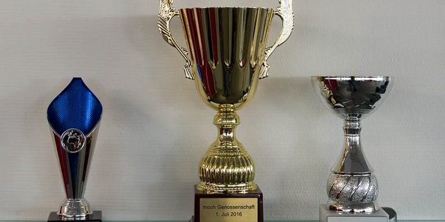 Bei Mooh kommen 39 Milchlieferanten unter, die bei der Thur Milch Ring AG ausgestiegen sind. (Bild hja)