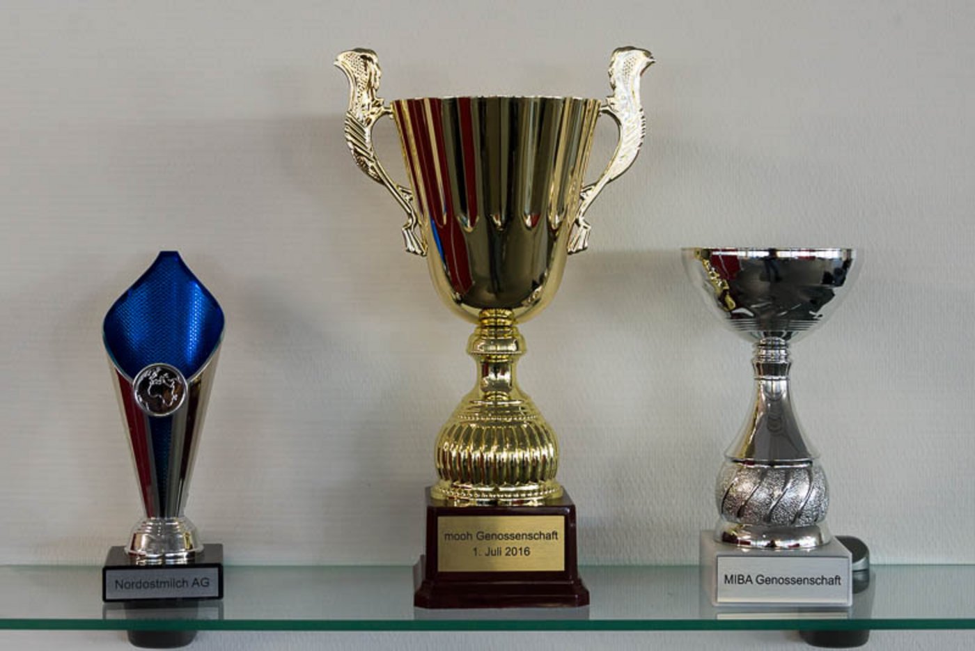 Bei Mooh kommen 39 Milchlieferanten unter, die bei der Thur Milch Ring AG ausgestiegen sind. (Bild hja)