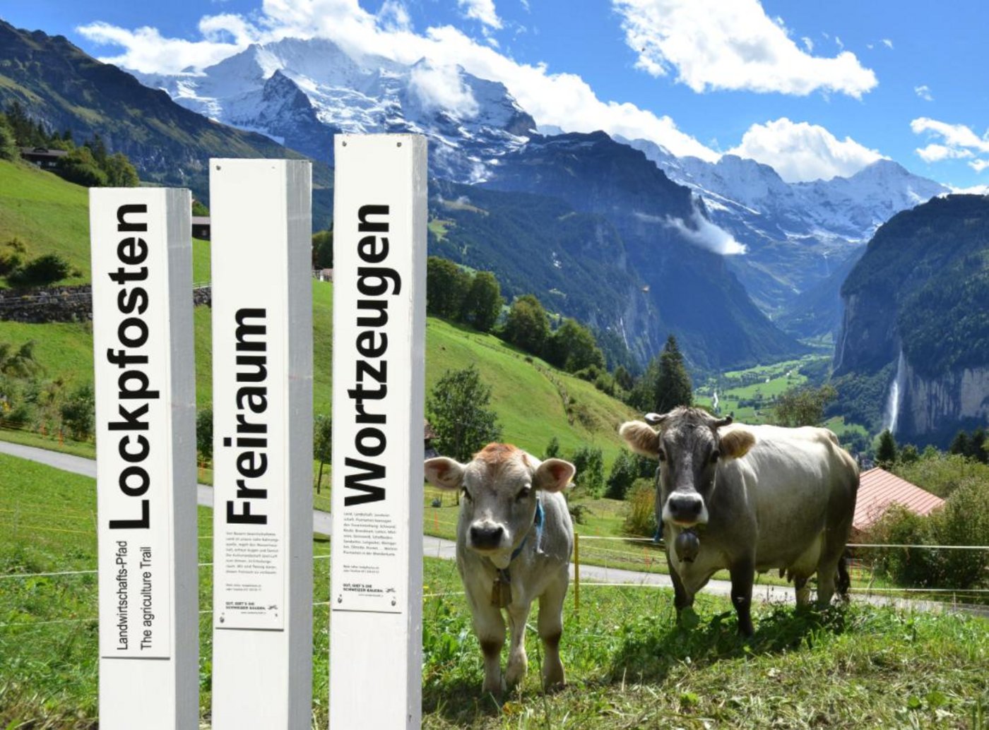 Die Begriffe auf den Pfosten sollen Passanten anlocken und über die Landwirtschaft informieren. (Screenshot landwirtschaft-wengen.ch)