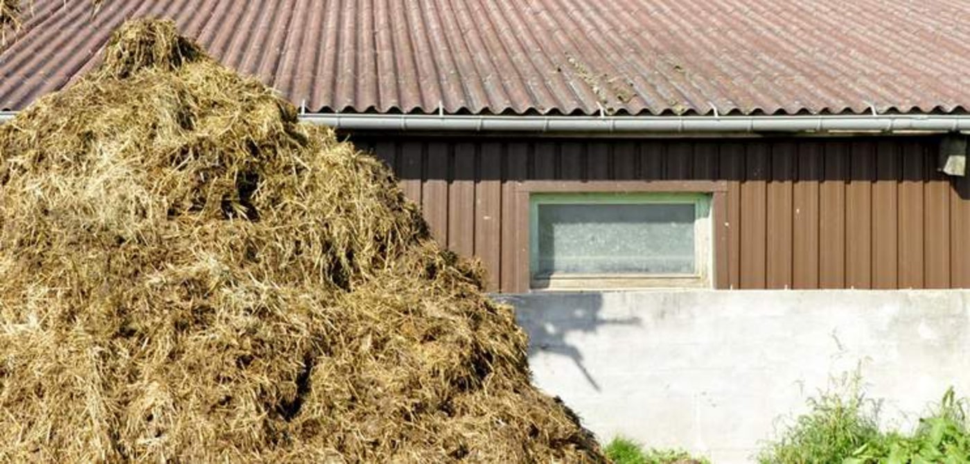 Der 58-jährige Bauer stürzte bei seinen Baggerarbeiten in das Güllenloch. (Bild/Pixabay)