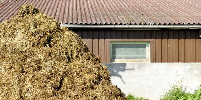 Der 58-jährige Bauer stürzte bei seinen Baggerarbeiten in das Güllenloch. (Bild/Pixabay)