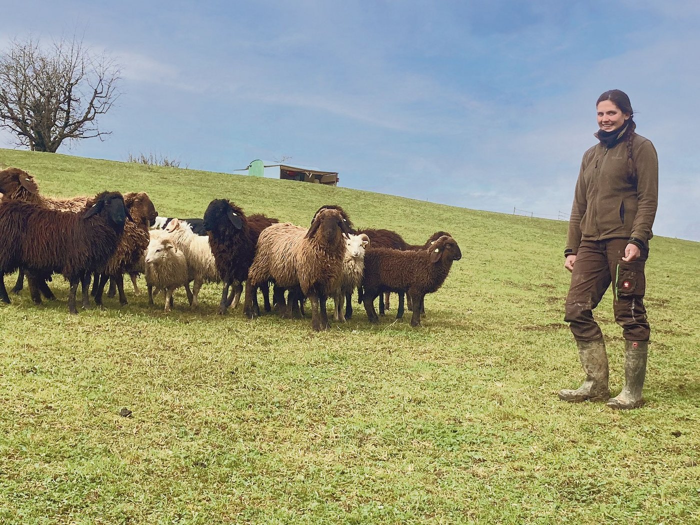 Natalie Müller züchtet gemeinsam mit ihrem Mann Engadinerschafe und Skudden. Hier mit der gemischten Bockherde in Oberweningen.  (Bild Alexandra Stückelberger)