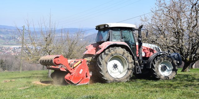 Beim Fräsen eines Baumstrunks ist die Fahrtrichtung rückwärts. Dafür braucht der Traktor mindestens 180 PS. Will man Steine fräsen, ist die Rotordrehzahl geringer. (Bilder Jasmine Baumann)
